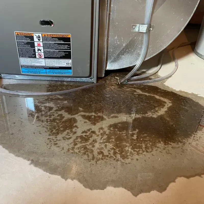 Appliance Leak Cleanup in Lafayette, IN